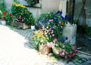 Ferienwohnung Schleiz OT Grochwitz Ferienwohnung St&ouml;ckigtsm&uuml;hle picture 2